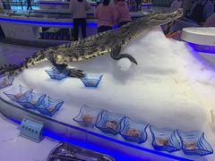 -澜悦港海鲜体验主题餐厅