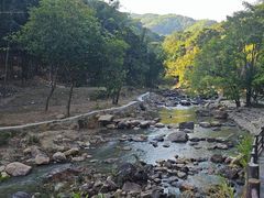 -广州白江湖森林公园