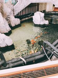 -五洲妇儿医院