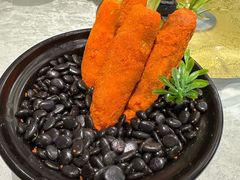 -丁老爷子苏香圆