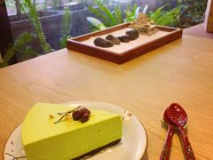 -柴务处·柴犬主题狗咖