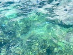 -三亚太阳湾柏悦酒店