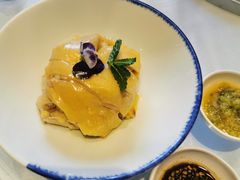 -沪碟·精菜坊(闵行店)
