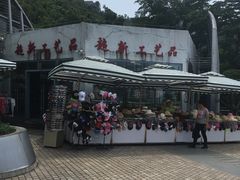 -东部华侨城