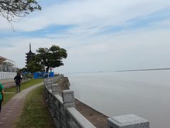 -观潮胜地公园