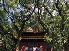 -普陀山风景名胜区-法雨禅寺