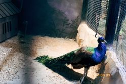 -酷嗒动物文化乐园(cutezoo西溪乐天城店)