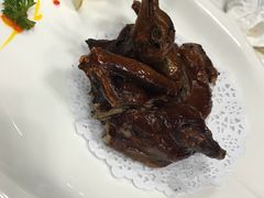 -君临七星生态酒店