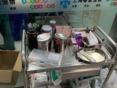 -睿金宠物医院·CT·肿瘤·骨外科