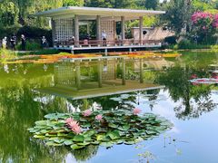 -国家植物园南园