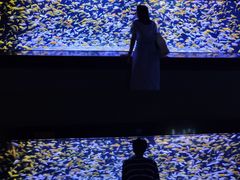 -成都浩海立方海洋公园