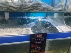 水产区-船梆煮•蒸汽海鲜·生腌干蒸(五四广场店)