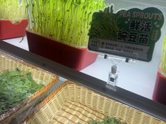 -番食园鲜食火锅(高新店)