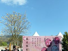-天适樱花悠乐园