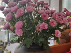 -HAPPEN(江川东路店)