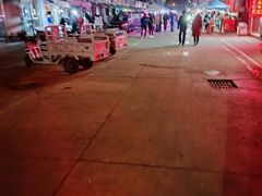 -中环花鸟鱼虫市场
