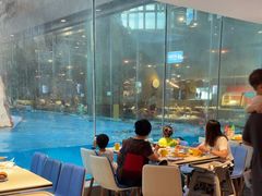 -帝企鹅自助餐厅•儿童岛•真企鹅(长隆企鹅酒店)