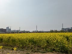 -西海岸生态观光园