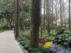 -上海醉白池公园