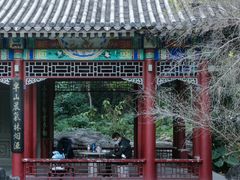 -深圳国际园林花卉博览园