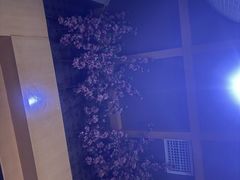 -GAGA主题量贩式KTV平价店(工大店)