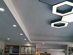 -博特宠物医院24h犬猫全科.骨科·异宠