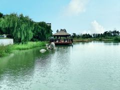 -苏州湾·王焰温泉