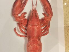 -新净雅烹小鲜(学院路店)