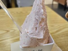 -野人先生Gelato(上海长宁龙之梦店)