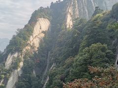 -鲍六孃甜皮鸭