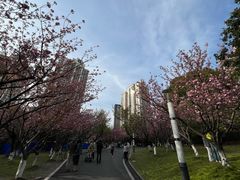 -苏州河梦清园环保主题公园