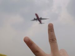 -空港花田景区