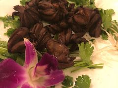 -九花山烤鸭店