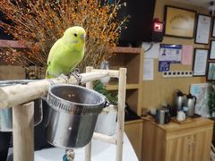 -乐山上善居·养心禅景酒店(世豪广场高铁站店)