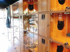 -猫十亿·布偶金渐层·曼基康矮脚猫舍(青年路店)