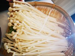 -菌子鲜汤野生菌锅