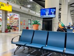 -太原武宿国际机场-T1航站楼