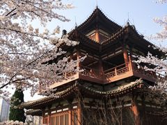 -西安青龙寺遗址景区