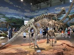 -自贡恐龙博物馆