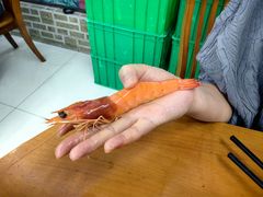 -望海潮海鲜店 特色家常菜(在海一方店)