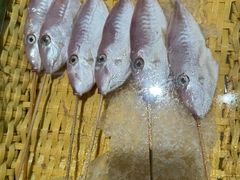 -蚝老板海鲜烧烤大排档(码头店)