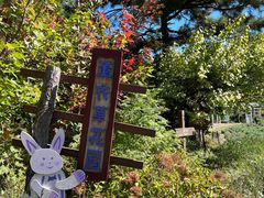 -云峰山自然风景区