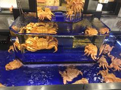 -蟹道乐(道顿堀本店)