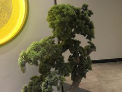 -毛家饭店·30年融合新湘菜(无影山店)