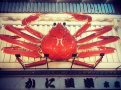 -蟹道乐(道顿堀本店)