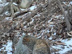 -终南山南五台景区