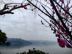 -东钱湖旅游度假区