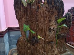 -芳草堂中医门诊部(怡芳苑店)