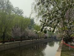 -元大都城垣遗址公园