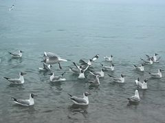 -青海湖二郎剑景区
